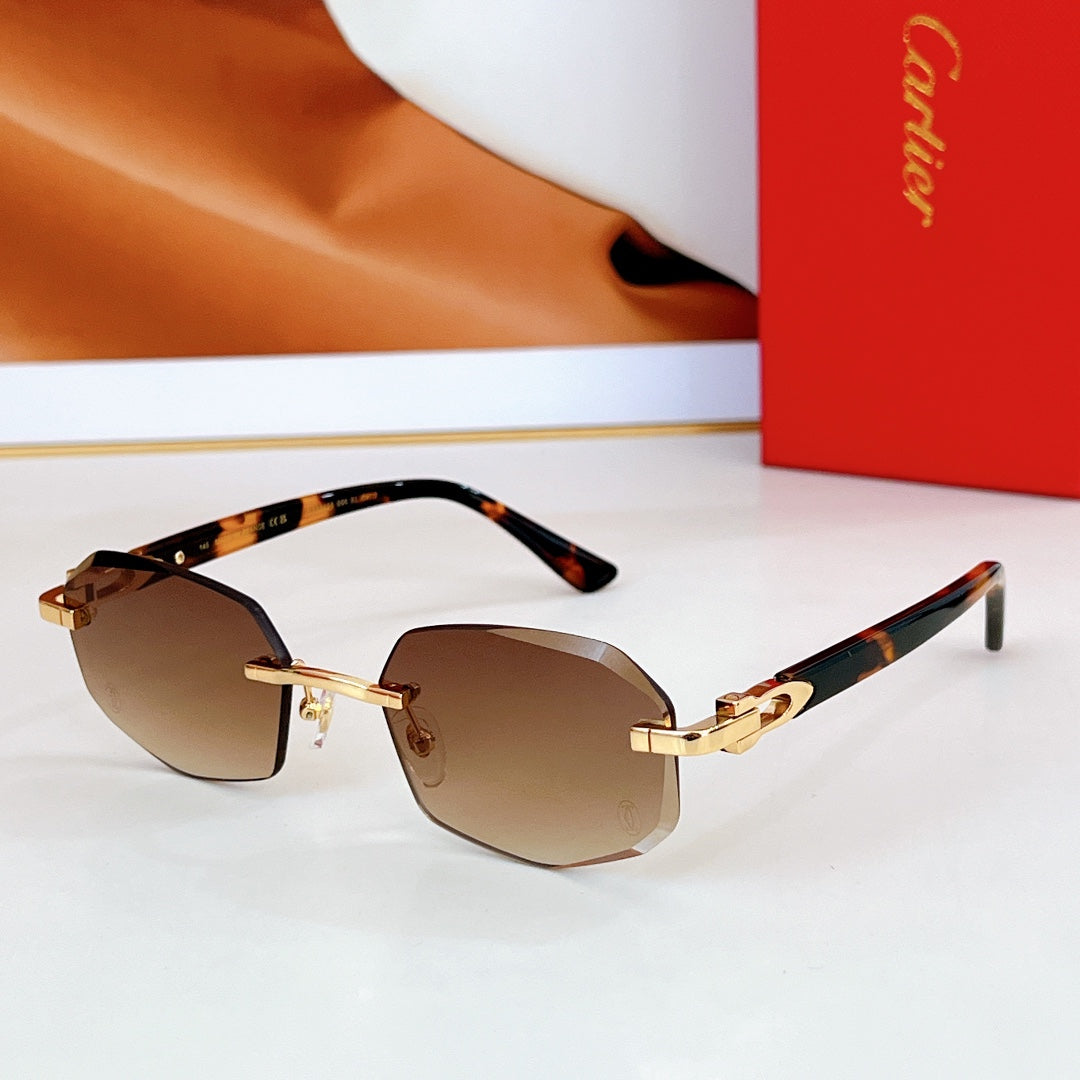 C DE RIMLESS GEOMETRIC FRAME SUNGLASSES CT0902S IN METAL AND ACETATE