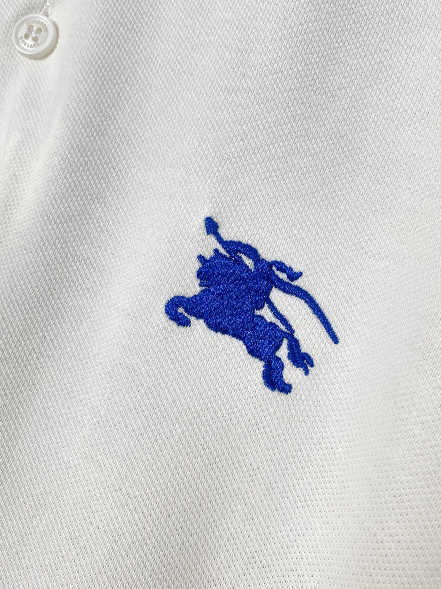 BBR Polo