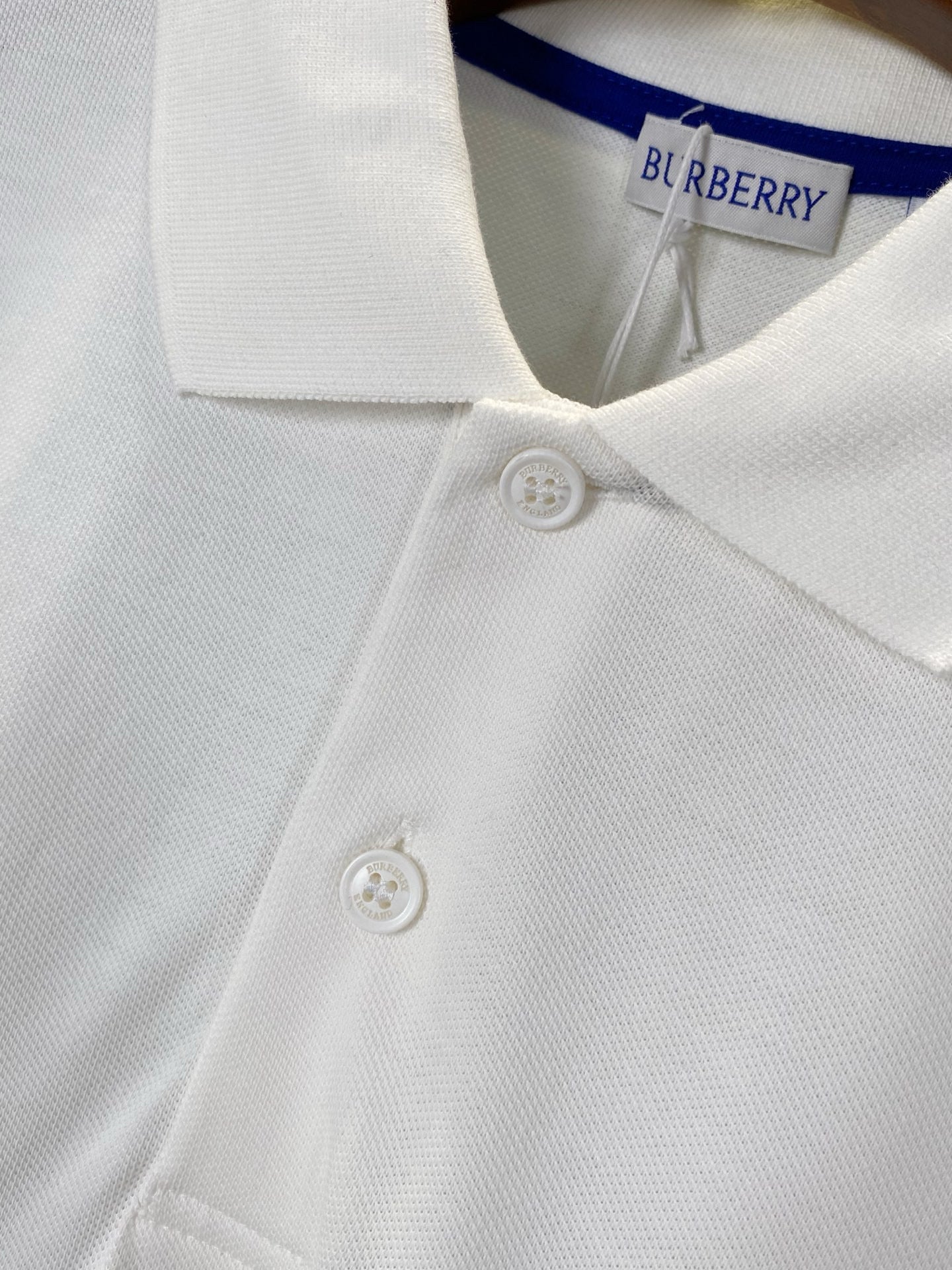 BBR Polo
