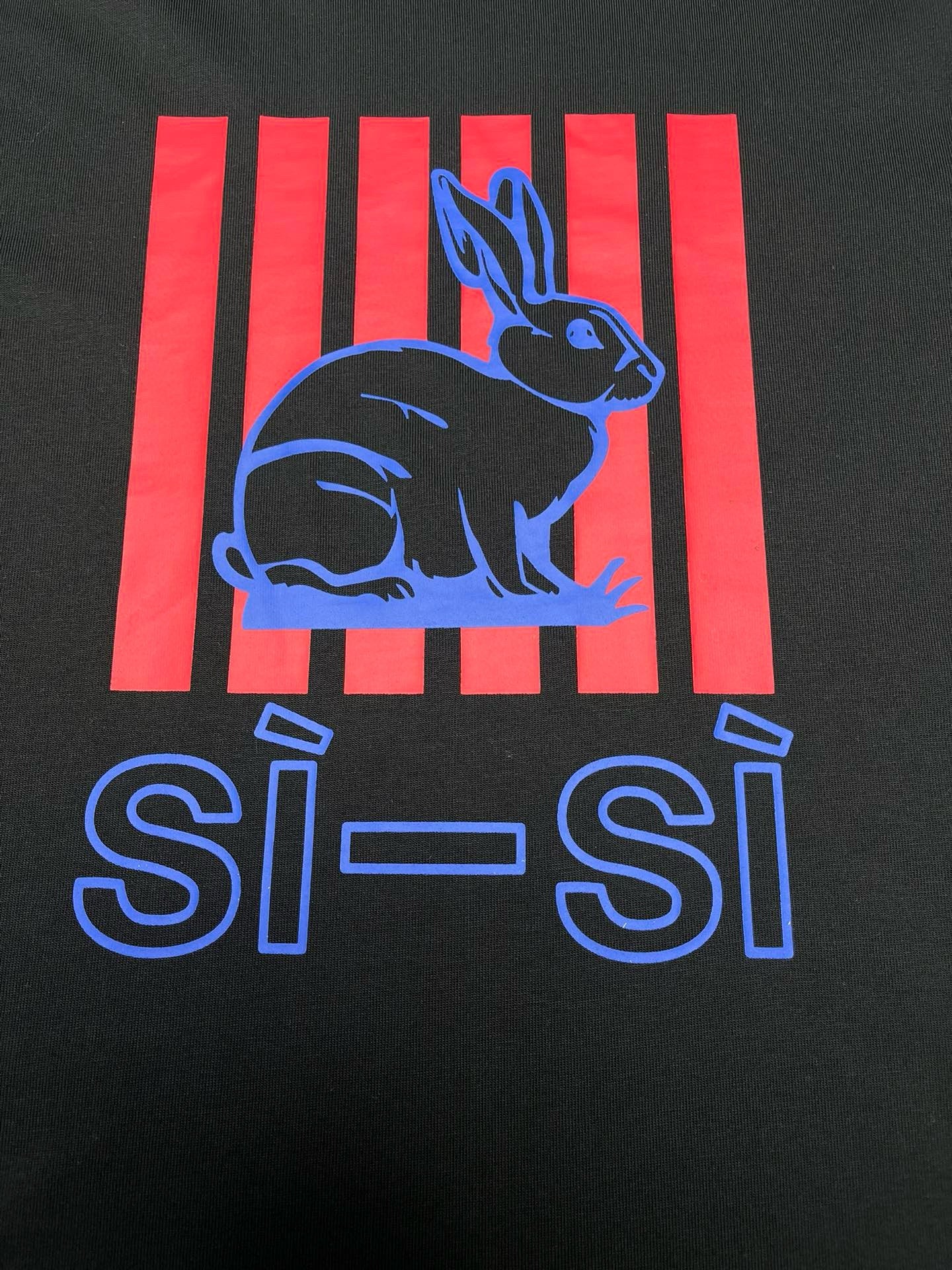 BV T-Shirt