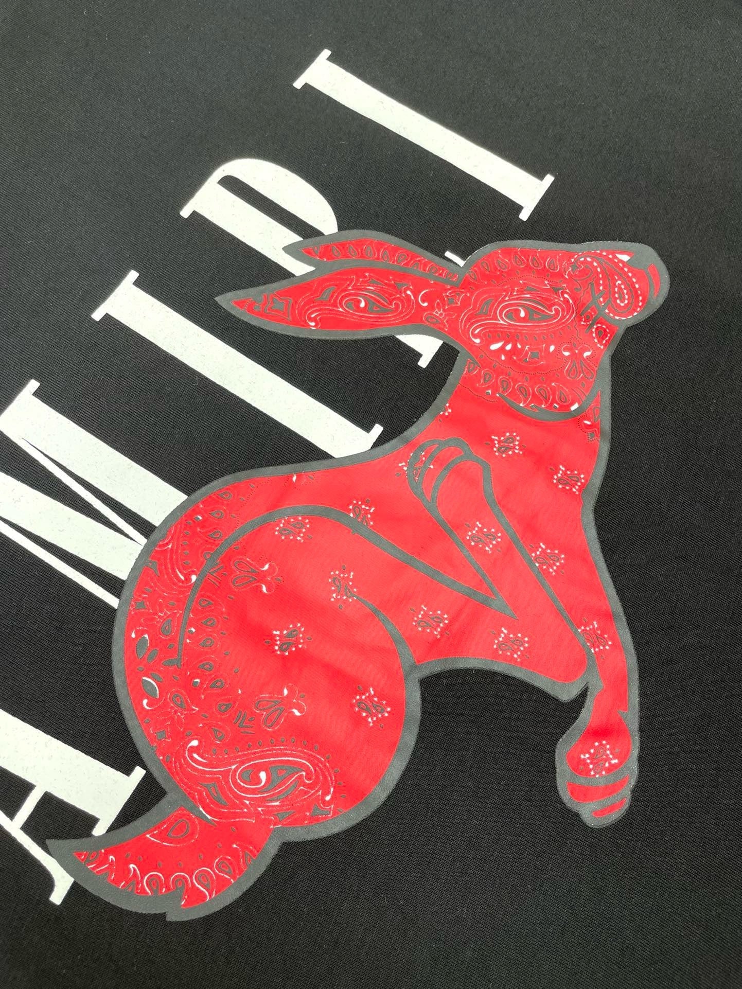 Amiri T-shirt