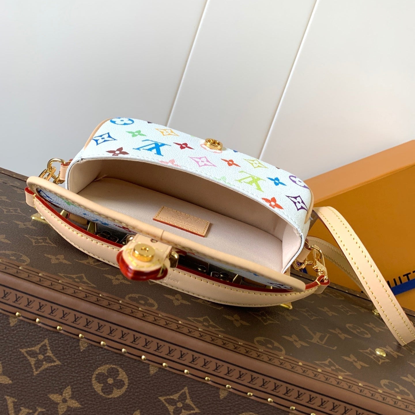 DIANE NANO BAG 19 IN MULTICOLOR MONOGRAM CANVAS AND COWHIDE