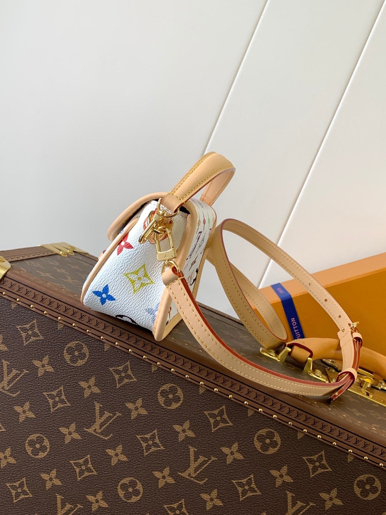 DIANE NANO BAG 19 IN MULTICOLOR MONOGRAM CANVAS AND COWHIDE