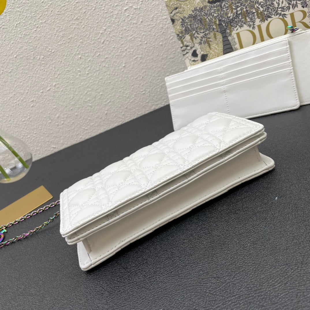 CARO SLIM POUCH 21 BAG IN WHITE CALFSKIN