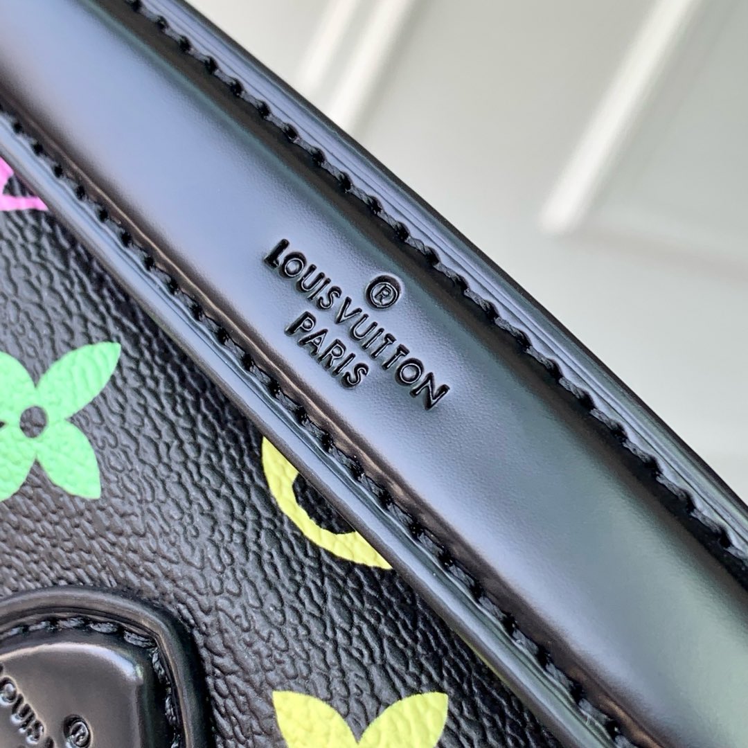 DIANE NANO BAG 19 IN MULTICOLOR MONOGRAM CANVAS AND BLACK COWHIDE