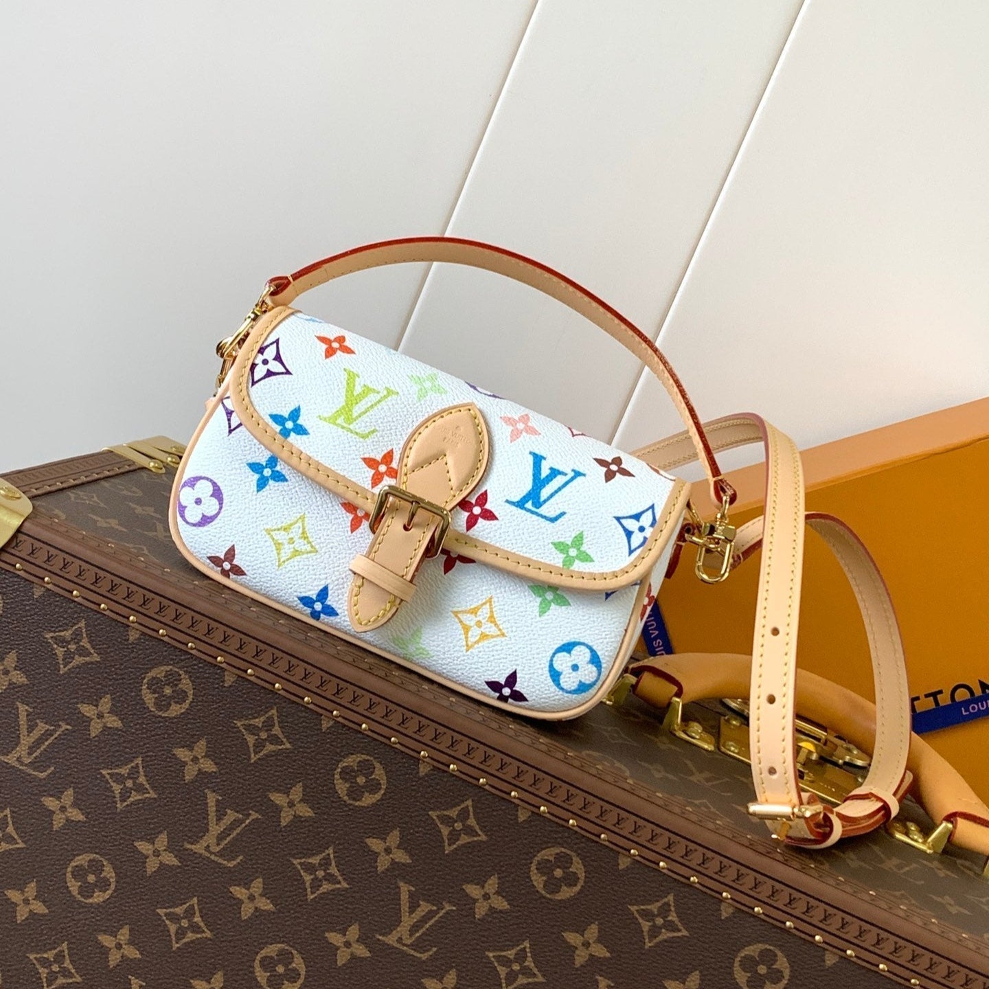 DIANE NANO BAG 19 IN MULTICOLOR MONOGRAM CANVAS AND COWHIDE